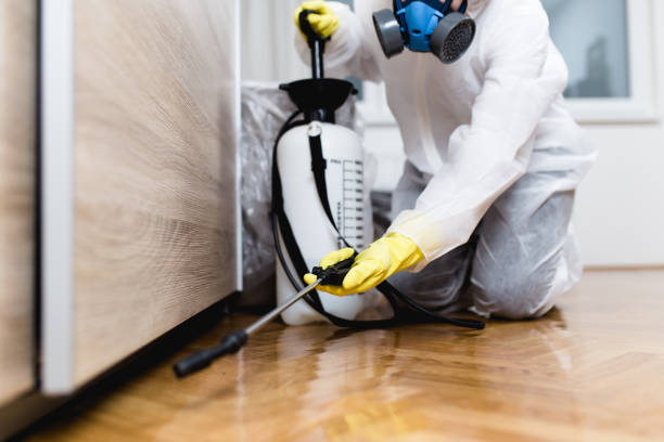 Best Best Pest Control Companies  in Cedar Hill, TX