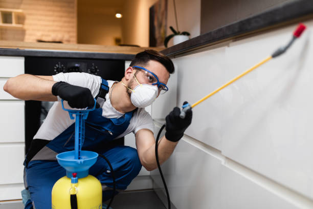 Best Exterminator Services  in Cedar Hill, TX